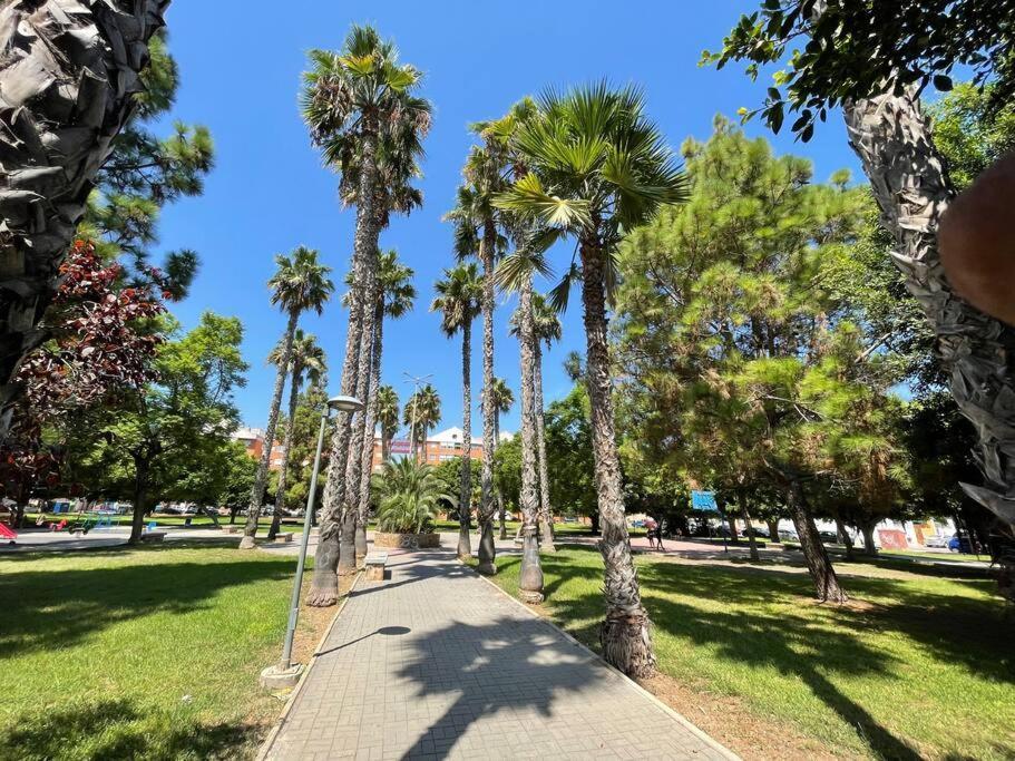 Sol Y Playa Costa Blanca Apartment Торевиеха Екстериор снимка